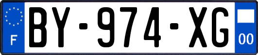 BY-974-XG