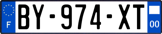 BY-974-XT