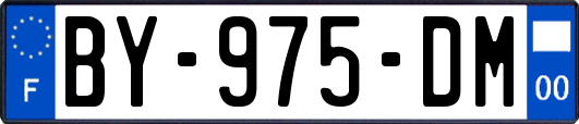 BY-975-DM