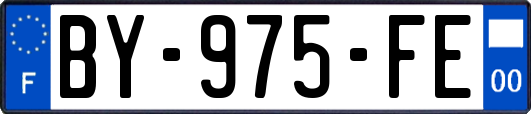 BY-975-FE