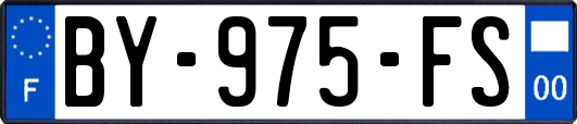 BY-975-FS