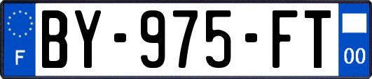 BY-975-FT