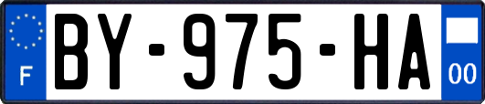 BY-975-HA