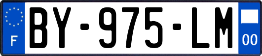 BY-975-LM