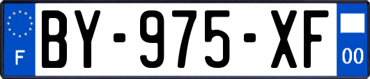 BY-975-XF