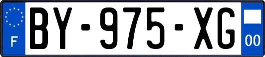 BY-975-XG