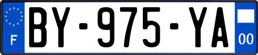 BY-975-YA