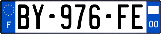 BY-976-FE