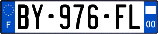 BY-976-FL