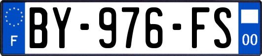 BY-976-FS