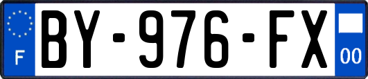 BY-976-FX