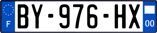 BY-976-HX