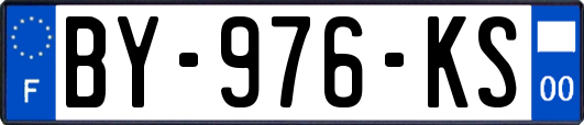 BY-976-KS