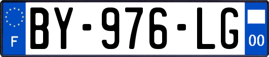 BY-976-LG