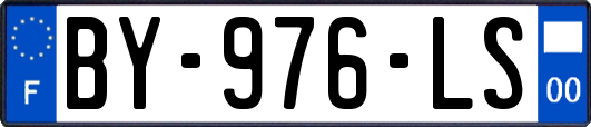 BY-976-LS