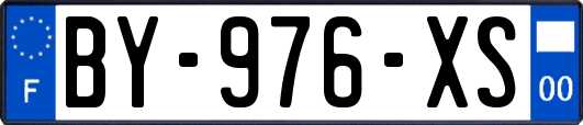 BY-976-XS