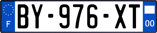 BY-976-XT