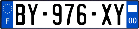 BY-976-XY