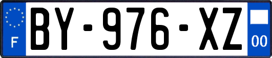 BY-976-XZ