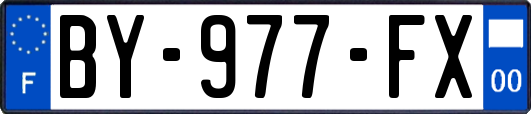 BY-977-FX