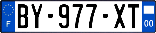 BY-977-XT