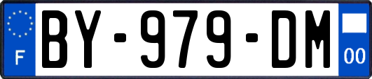 BY-979-DM