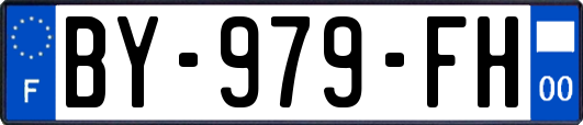 BY-979-FH