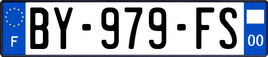 BY-979-FS
