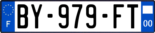 BY-979-FT