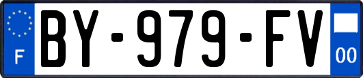 BY-979-FV