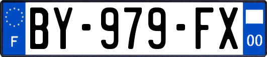 BY-979-FX