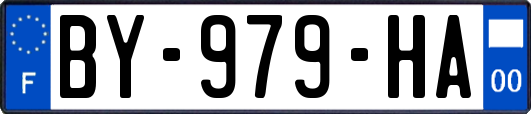 BY-979-HA