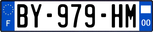 BY-979-HM