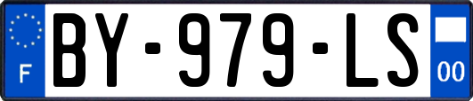 BY-979-LS