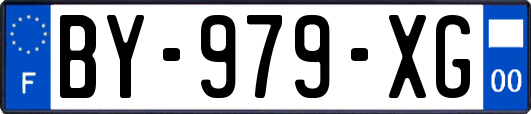 BY-979-XG