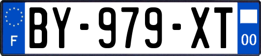 BY-979-XT