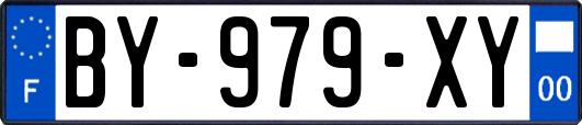 BY-979-XY