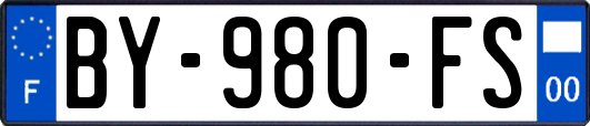 BY-980-FS