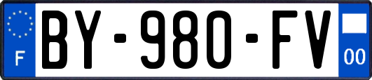 BY-980-FV