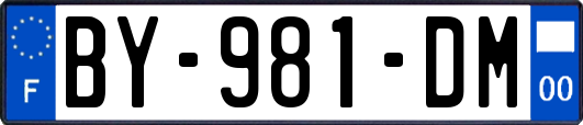 BY-981-DM