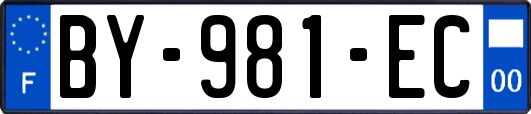 BY-981-EC