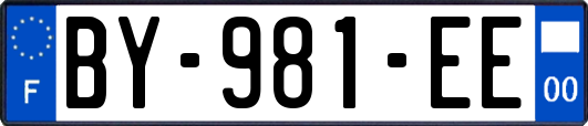 BY-981-EE