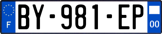 BY-981-EP
