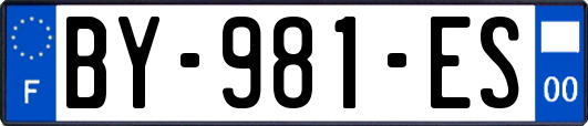 BY-981-ES