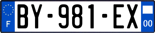 BY-981-EX