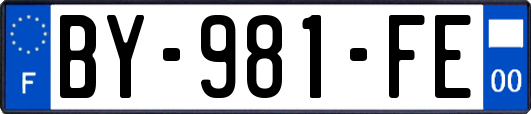 BY-981-FE