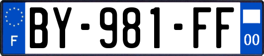 BY-981-FF