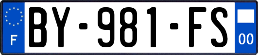 BY-981-FS
