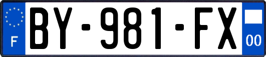 BY-981-FX