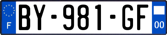 BY-981-GF